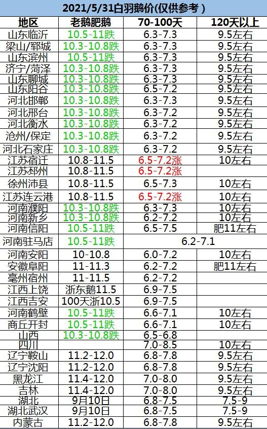 鹅报价最新更新，市场走势分析与预测
