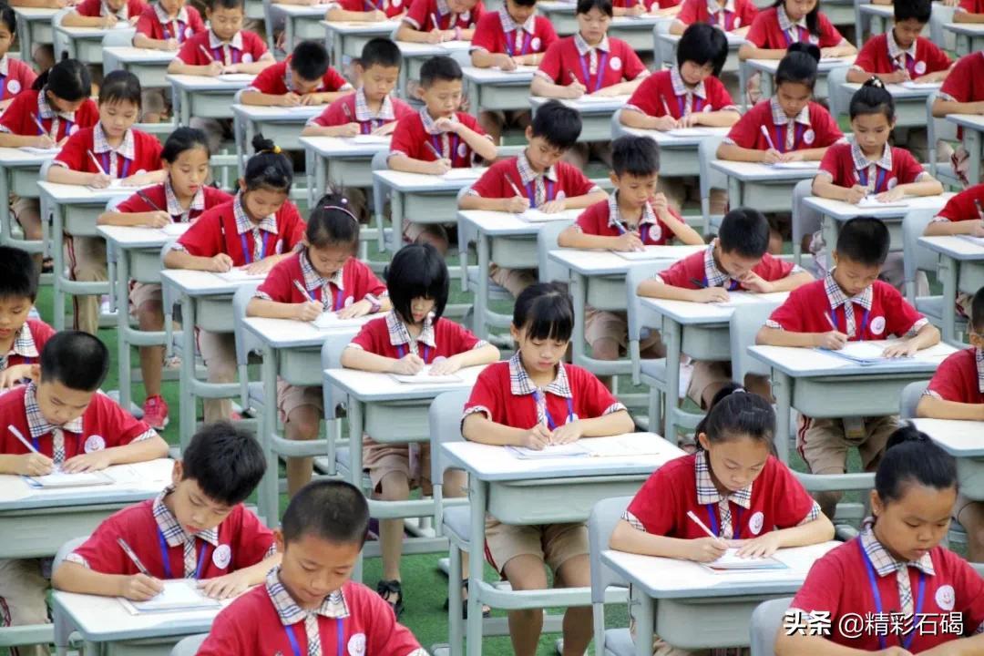 石碣最新招聘信息，启程寻找内心宁静的职场之旅