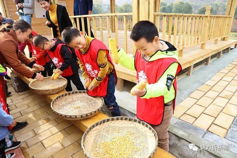 QQ农场最新版攻略指南，从新手到高手的指南之路