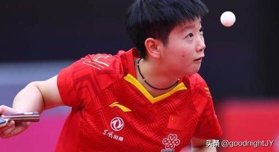 马琳最新消息，小巷深处的独特风味探秘之旅