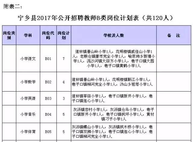 宁乡幼儿园最新招聘，探索小巷中的教育宝藏之旅