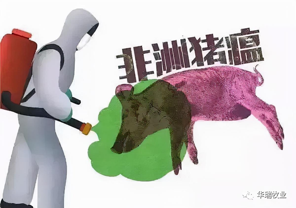 汽车服务 第2页