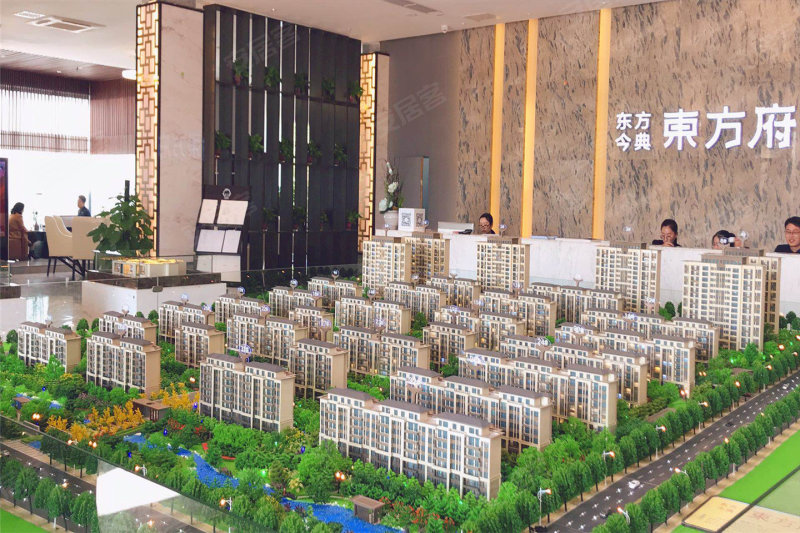 府东公馆深度解析，最新消息与观点阐述