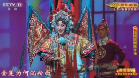 豫剧龙儿学唱，传承与创新的美妙交融之最新唱段欣赏